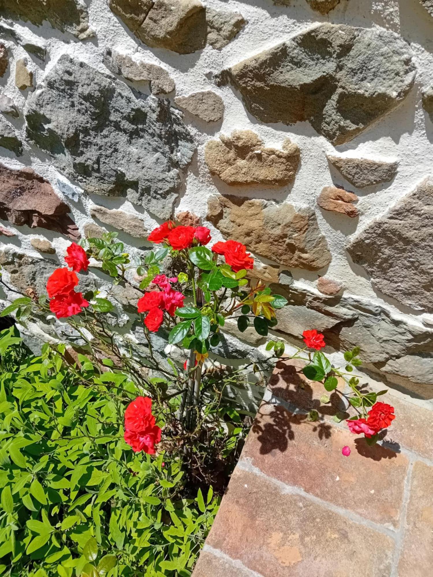 Casa Vacanze Raggio Di Sole Grotte (Tuscany) Exterior foto