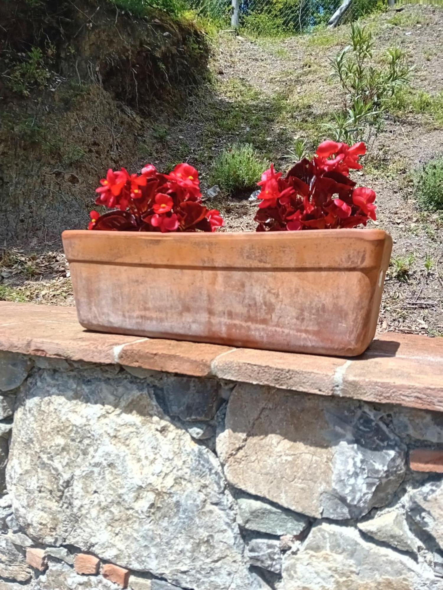 Casa Vacanze Raggio Di Sole Grotte (Tuscany) Exterior foto